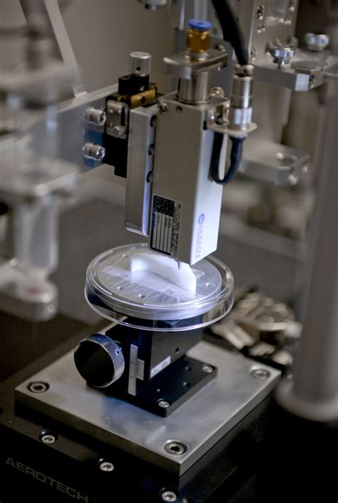 Regenerative Medicine At Wake Forest Reaches Milestone With Tissue