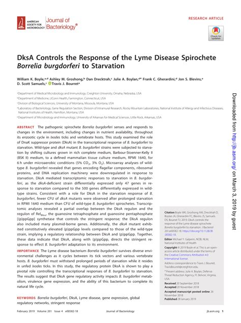 Pdf Dksa Controls The Response Of The Lyme Disease Spirochete