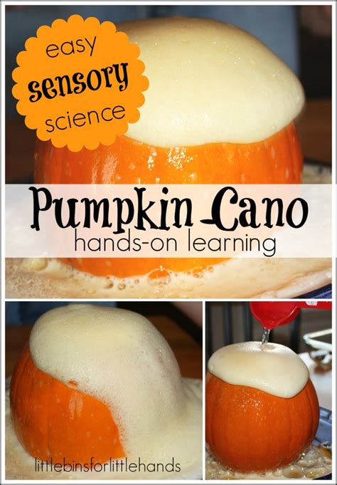 It also helps sparkle our creativity as we normally have so many fun activities such as pumpkin painting for kids, pumpkin carving. 20 Pumpkin Activities for Kids