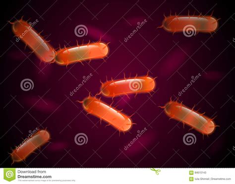Real Bacteria Under Microscope In Orange Vector Stock