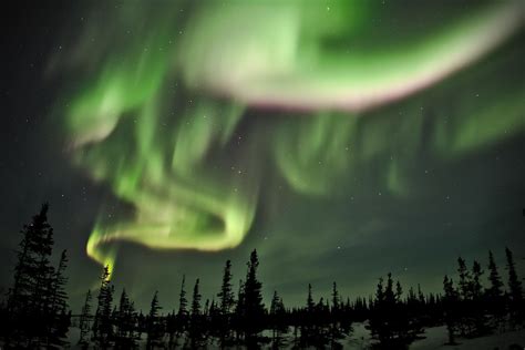 Dancing And Swirling Northern Lights Dancing In A Clear
