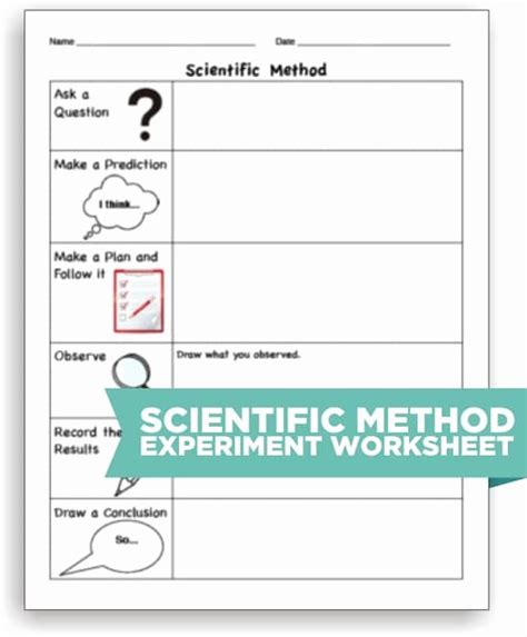 46 Scientific Method Worksheet Elementary