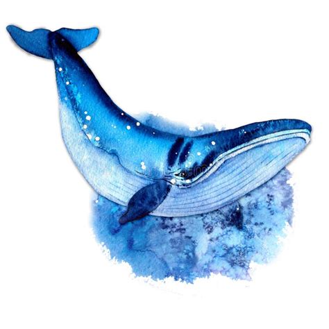 Ballena Azul Mar De Fondo De Verano Criaturas Marinas Y Oceánicas En Tonos Azules Foto de