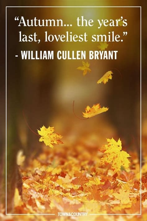 25 Cozy Autumnal Quotes To Get You Ready For Fall Autumn Quotes Best Quotes Season Quotes