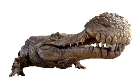 Sarcosuchus Dinosaurs In Popular Culture Wiki Fandom Powered By Wikia