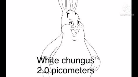 My Very Own Big Chungus Size Comparison Youtube