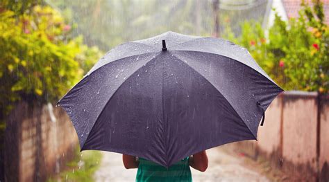 Its Raining Do You Have An Umbrella Forward Thinking Tangerine