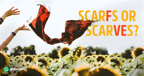 How to form the plural. Scarfs or Scarves—What's the Plural of Scarf? | Grammarly