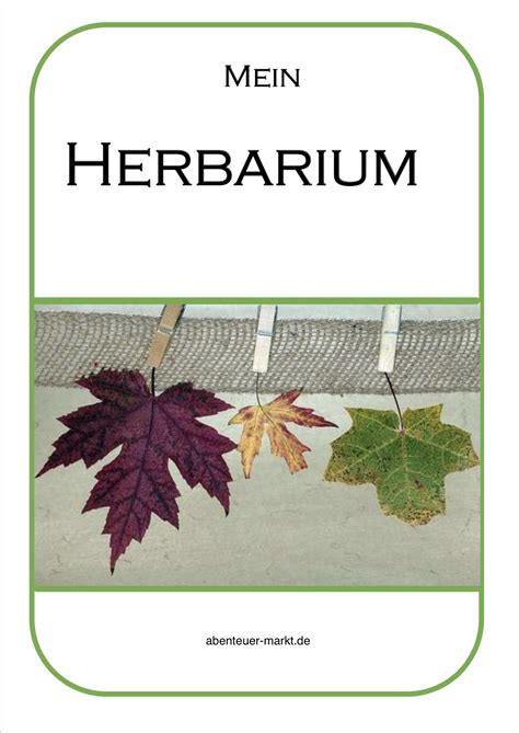 Herbarium Gestalten 3 Ideen Mit Vorlagen Schritt Für Schritt
