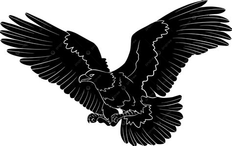 Vector De águila Calva Png Clipart De águila Tatuaje De Aguila