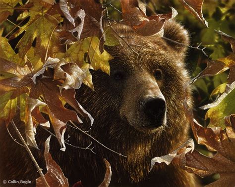 Realistic Wildlife Paintings By Collin Bogle Amusing Planet