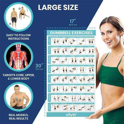 Vive Dumbbell Workout Poster Home Gym Exercise For Upper Lower Full Body Laminated