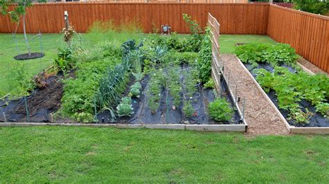 Small Veg Patch Ideas Garden Layout Vegetable Veggie Garden Layout