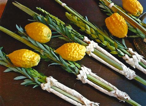 Lulav And Etrog Beth Jacob Congregation