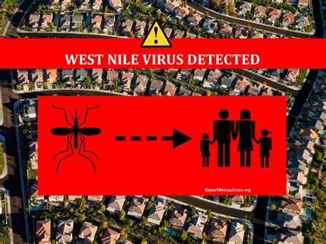 First West Nile Virus Death Of 2017 Season Reported In L
