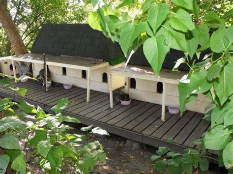 Diy Outdoor Cat Shelters And Feeding Stations Medium Outdoor Cat