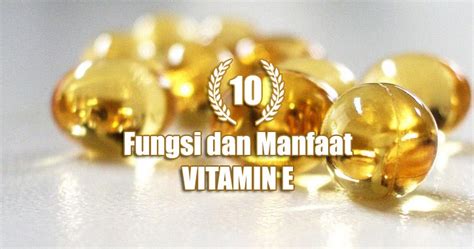 10 Manfaat Vitamin E Tokoferol Untuk Fungsi Kesehatan Tubuh