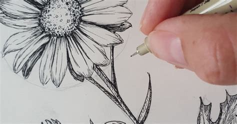 How To Do A Daisy Flower Drawing Step By Step Artsydee Drawing