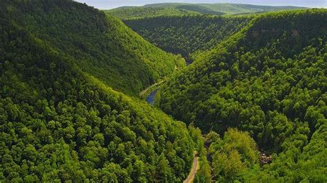 Professor Pennsylvanias Forest Cover Remains Stable At 59 Percent