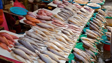 Fish Market Houtbay Pictures See 3325 Reviews Articles And 2