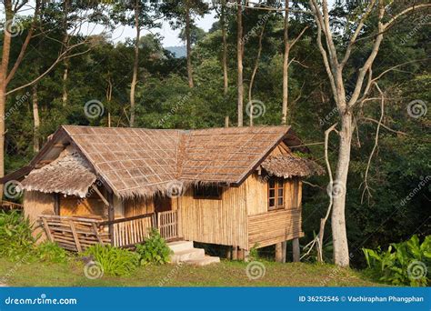 House On The Hill Stock Photo Image Of Garden Landscape 36252546