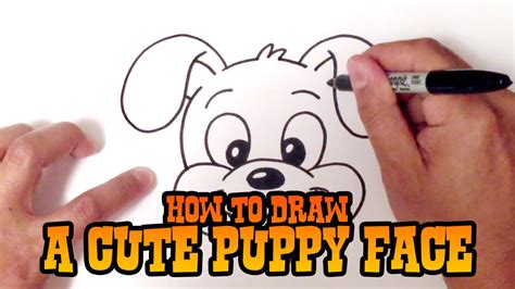 How To Draw A Dog Face Step By Step For Beginners Youtube