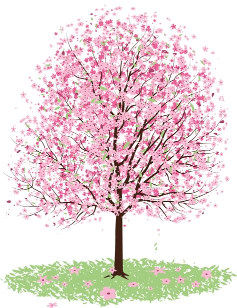 Freeuse Stock Cherry Blossom Tree Clipart Blossom Tree Vector Free