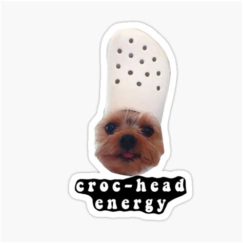 Dog With Croc On Head Pfp 10 Croc Head Ideas Animal Memes Cute