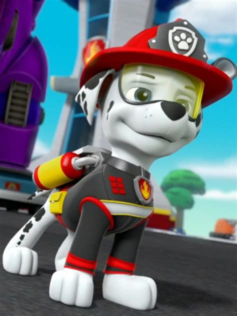 Pin By Christopher Sam On Paw Patrol In 2021 Marshall Paw Patrol Paw