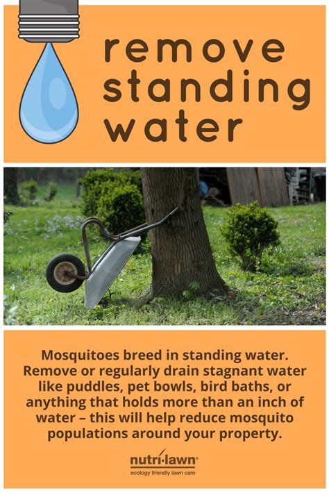 Mosquitoes Breed In Standing Water Remove Or Regularly Drain Stagnant