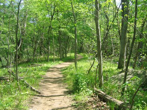 Country Path Free Stock Photo Public Domain Pictures