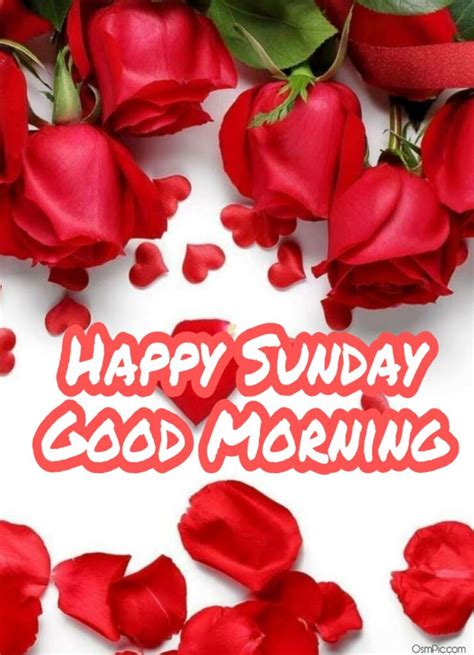 Top 55 Good Morning Happy Sunday Images Hd Pictures For Whatsapp