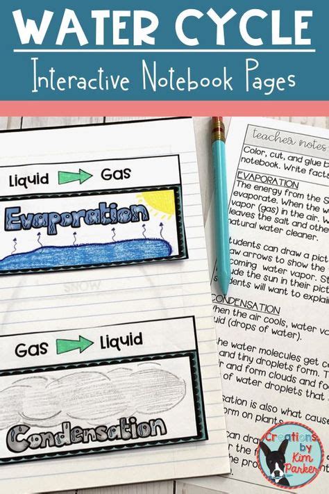 Water Cycle Interactive Notebook Pages Interactive Notebooks Student