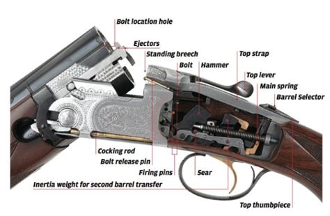 Shotgun Jargon A Guide To The Terms Youll Hear In The Field