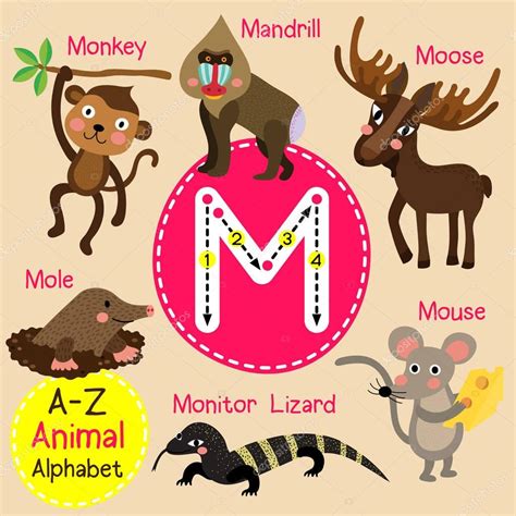 Click here to see if there are coupons still available. Cute children zoo alphabet M letter tracing of funny ...