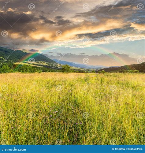 Meadow With High Grass In Mountains At Sunrise Stock Photo Image Of