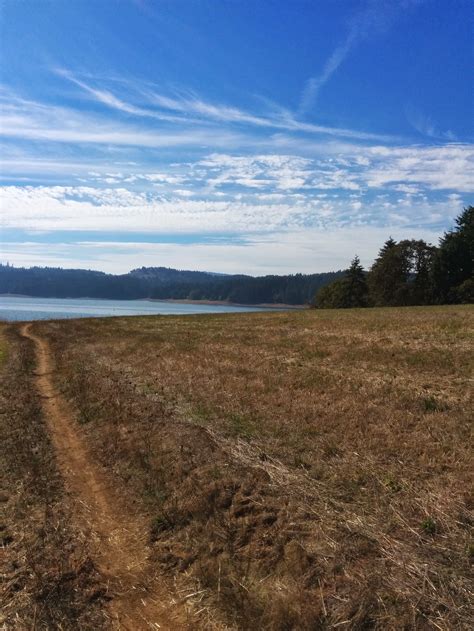 Henry Hagg Lake • Gaston • Oregon Runs