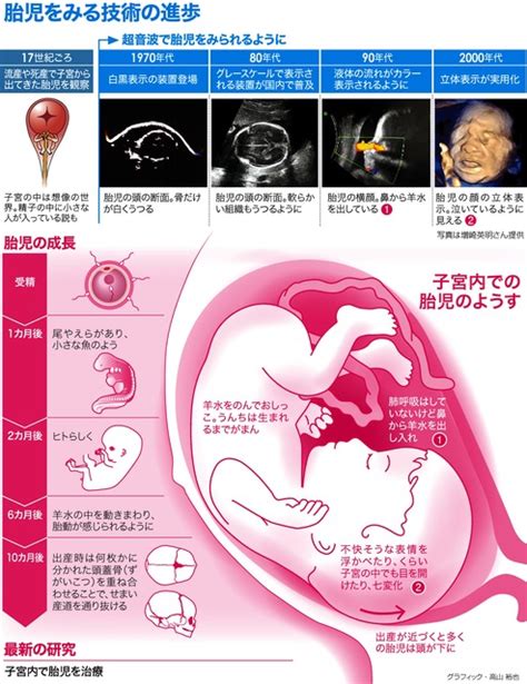 [b ] 胎児は子宮で何してる？しゃっくりやおしっこ、肺トレも：朝日新聞デジタル