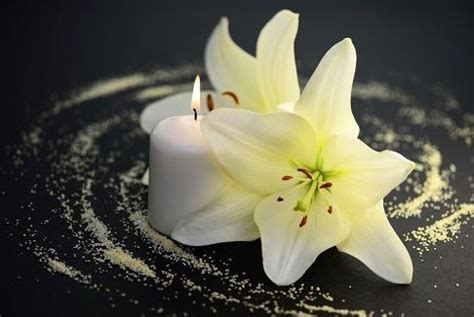 Hermosas flores de jardín campana. Planta Liliacea De Flores Blancas Olorosas