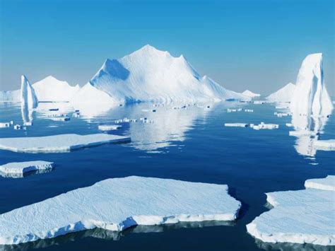 Arctic Sea Ice Loss Lets Pacific Sea Life Into Atlantic