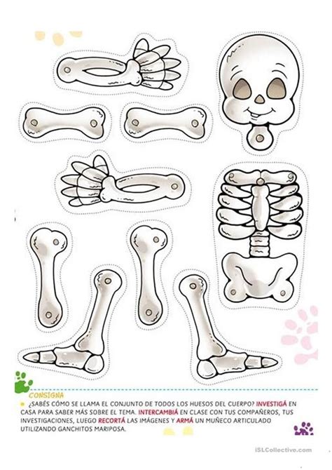 Skeleton Worksheet For Kindergarten Worksheet For Kindergarten