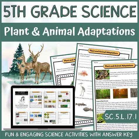 Plant And Animal Adaptations Activity And Answer Key 5th Grade Life