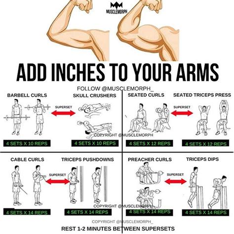 Add Inches To Your Arms With This Superset Workout Likesave It If You
