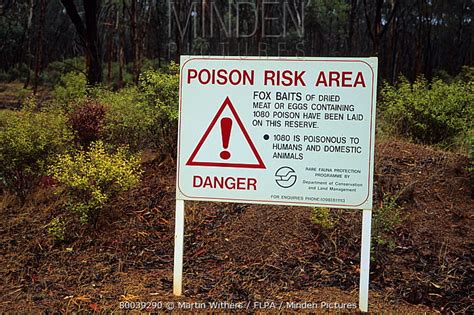 Minden Pictures Signs Poison Risk Area Sign Poisoned Red Fox Bait