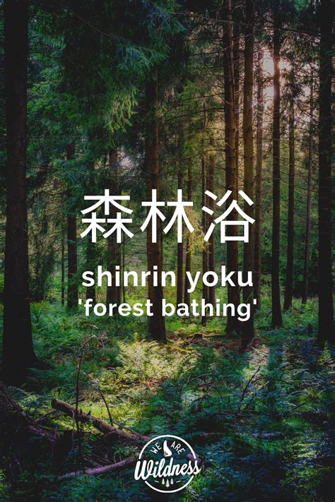 Shinrin Yoku 森林浴 Forest Bathing Forest Bathing Shinrin Yoku Forest