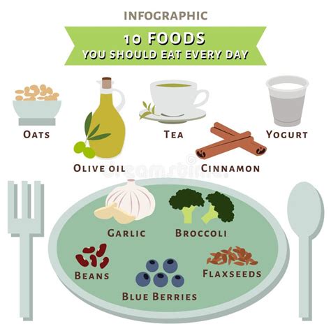 ten foods you should eat every day infographic vector stock vector illustration of info grain