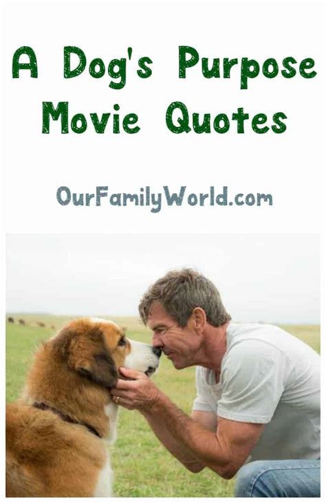Heartwarming Quotes From A Dogs Purpose Movie And Book In Feb 2024