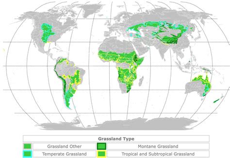 World Map Of Grasslands