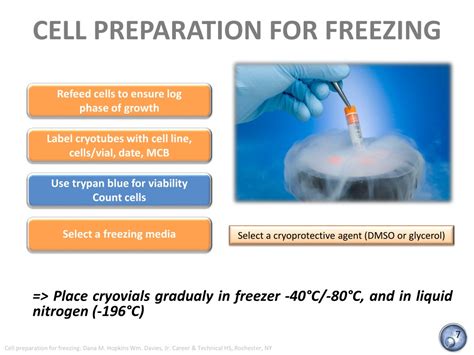 The Importance Of Avoiding Ice Crystal Formation When Freezing Cells
