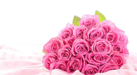 Download Pastel Pink Rose Bouquet Wallpaper